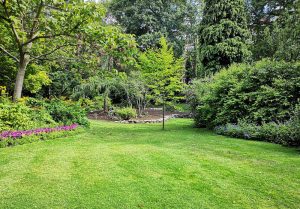 Optimiser l'expérience du jardin à Heudicourt